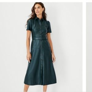 Ann Taylor Faux Leather Dress